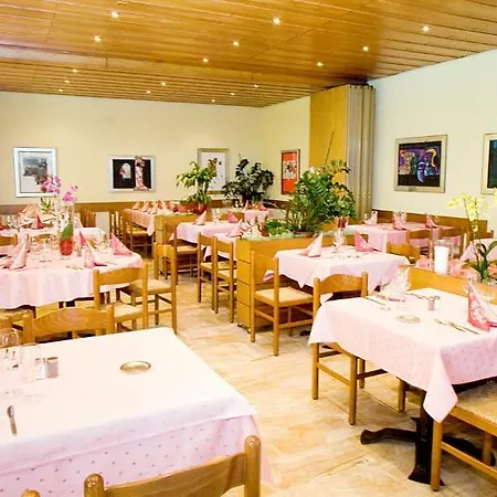 Elvetico 酒店 洛迦诺